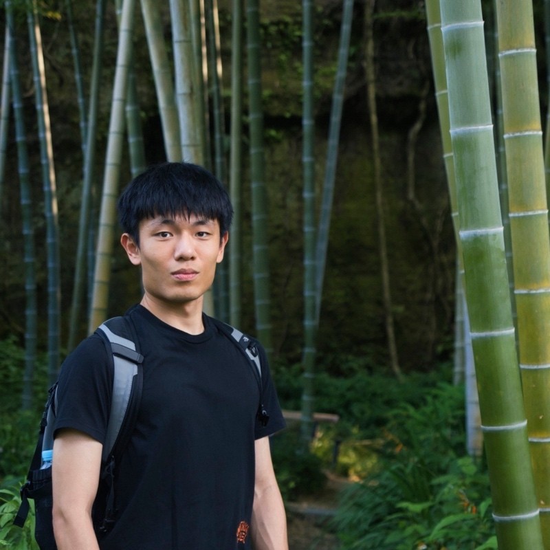 Portrait of Yuan Li